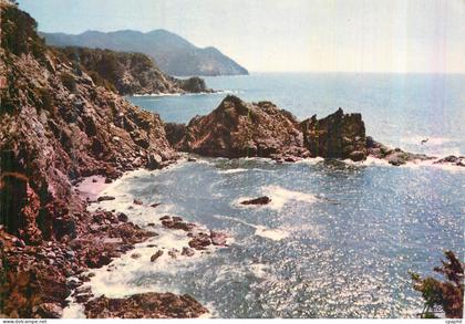 CPM Calanques Pittoresques Lumiere et Beaute de la Cote d'Azur