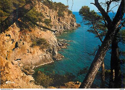 CPM Cote d'Azur Calanque de l'Oustaou de Dion