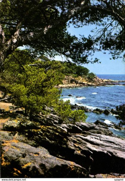 CPM Pinede et Calanque de la Cote Mediterranee