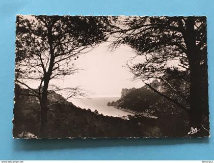 Marseille Mazargues, Quartiers Sud,  Bonneveine, Pointe Rouge, Calanques[13] Bouches-du-Rhône Carte Postale-CPSM-coll.Gi