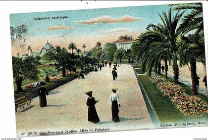 CPA-Carte Postale-France-Nice- Nouveaux Jardins Allée des Palmiers -1906 VM18119