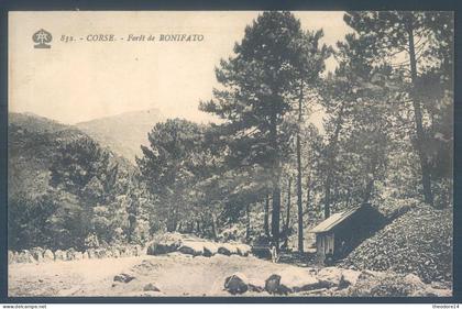 20 2A Corse du Sud Forêt de Bonifato