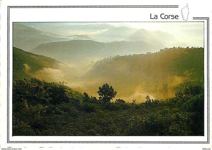 20 - Corse - Foret Corse - Par Maurice Subervie - CPM - Voir Scans Recto-Verso