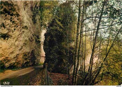 24 - Les Eyzies - Le Pas du Miroir - CPM - Voir Scans Recto-Verso