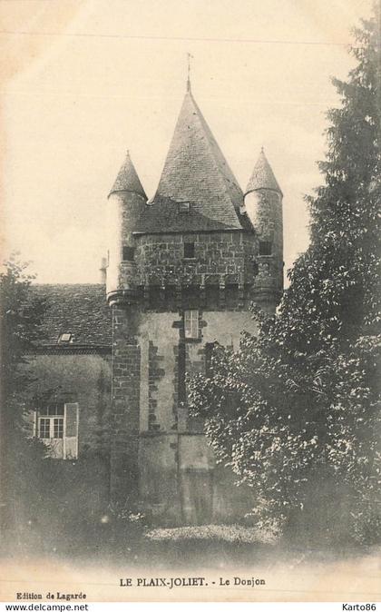 lourdoueix st michel * le donjon du château du plaix joliet