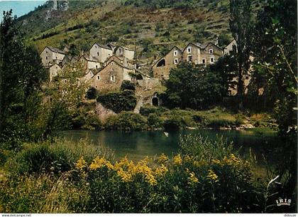 48 - Hauterive - CPM - Voir Scans Recto-Verso