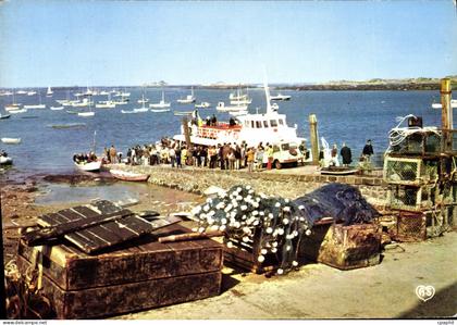 CPM Iles Chausey Manche La cale de debarquement et la Belle Malouine Bateau