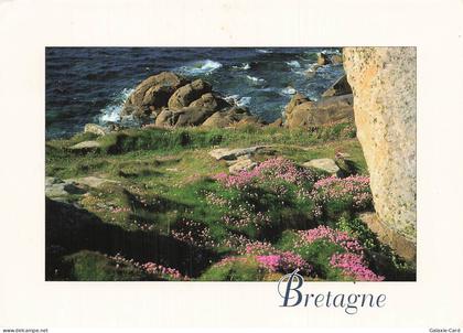 56 PLOUHINEC EGLISE DE PLOUHINEC