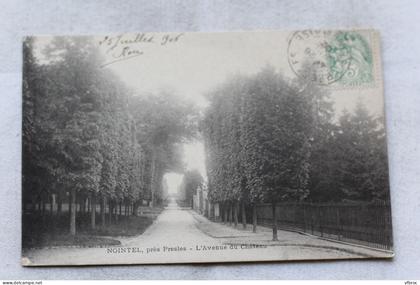 Nointel, près Presles, l'avenue du château, Oise 60