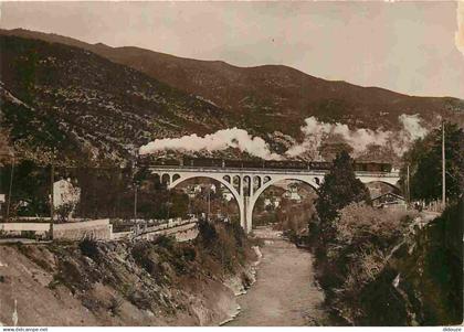66 - Amélie les Bains - Le Pont sur le Tech - Route de Céret - Trains - CPSM format CPA - Oblitération de 1938 - Voir Sc