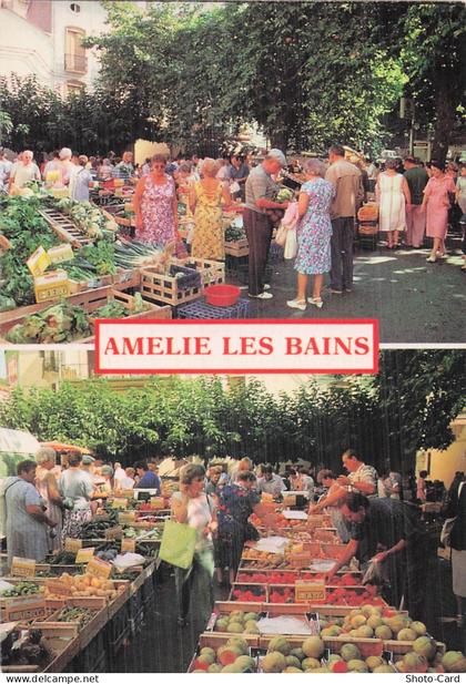 66 AMELIE LES BAINS PALALDA MARCHE