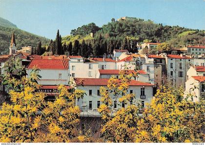 66 AMELIE LES BAINS PALALDA PERLE DES PYRENEES