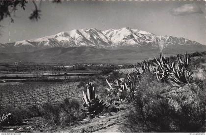 66 AMELIE LES BAINS PALALDA THERMES