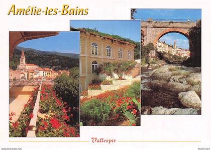 66 AMELIE LES BAINS PALALDA VALLESPIR