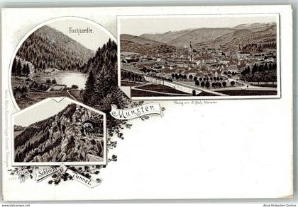 13290871 - Munster Muenster