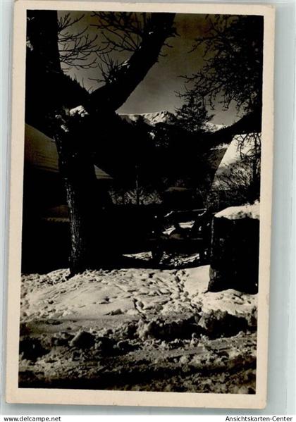 38223742 - Munster Muenster