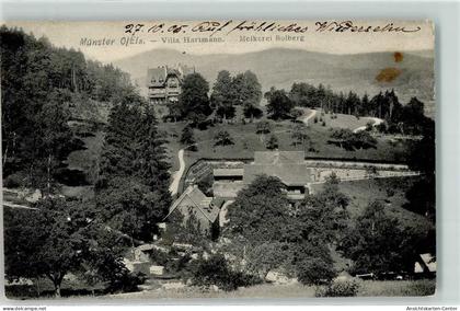 39344456 - Munster Muenster