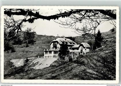 39635378 - Munster Muenster