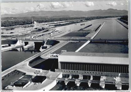 50441655 - Vogelgrun