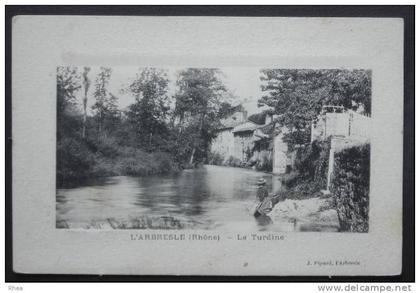 69 Saint-Germain-sur-l'Arbresle turdine    D69D  C69208C RH053098