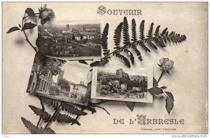 SOUVENIR DE L'ARBRESLE MULTICARTES