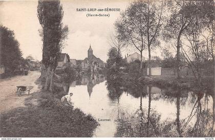 SAINT LOUP SUR SEMOUSE - vue générale