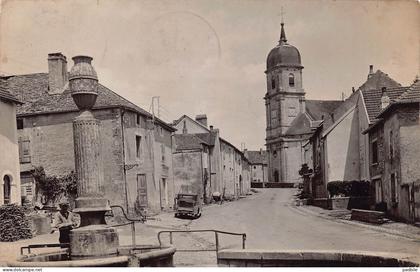 carte postale [70]  Scey-sur-Saône-et-Saint-Albin  le centre la fontaine  très beau plan