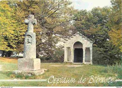 71 - Mont Beuvray - Oppidum de Bibracte - Croix et Chapelle Saint Martin élevées d'un ancien temple gaulois - CPM - Voir