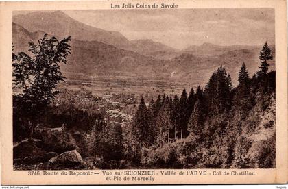 73 - Vue sur SCIONZIER - Route du Reposoir