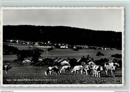 11064249 - La Jonchere