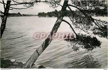 CPM Aix en Provence Etang du Realtor