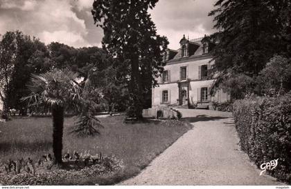 Aizenay : le château (cpsm)