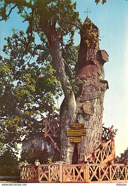 76 - Allouville-Bellefosse - Le vieux Chêne et ses deux Chapelles - Arbre Remarquable - Carte Neuve - CPM - Voir Scans R
