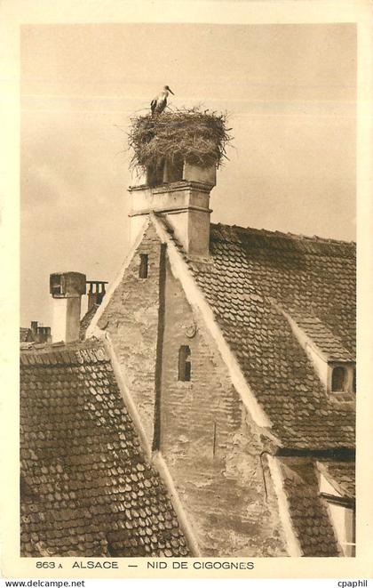 CPA Alsace Nid de Cigognes