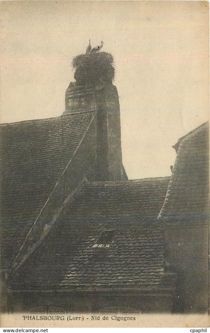CPA Phalsbourg Lorr Nid de Cigognes