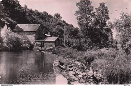 53 AMBRIERES LES VALLEES LE MOULIN DE GENES