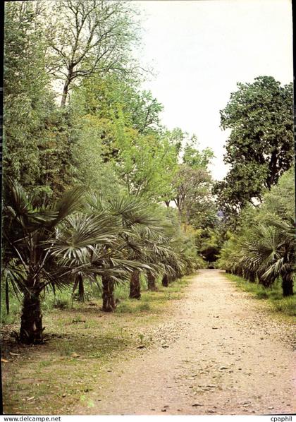 CPM Domaine de Prafrance Par Anduze Gard Allee de Palmiers