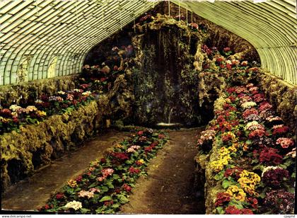 CPM Domaine de Prafrance par Anduze Gard grande Serre