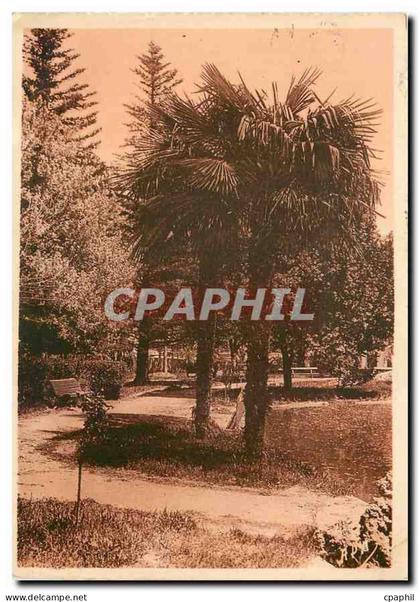 CPM Apt (Vaucluse) Jardin Public