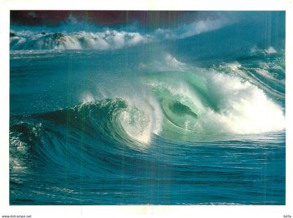 AQUITAINE - VAGUE