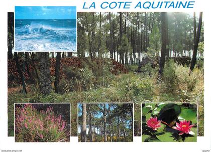 CPM La Cote Aquitaine