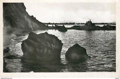 CPA Argeles sur Mer P O le Racou les rochers