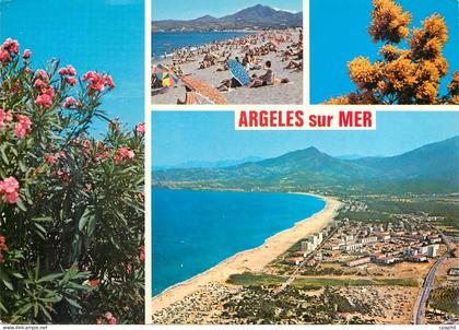 CPM Argeles sur mer La Plage Vue Panoramique