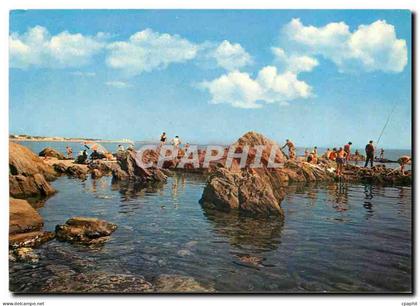 CPM Argeles sur Mer Le Racou Les rochers au fond les tours d'Argeles