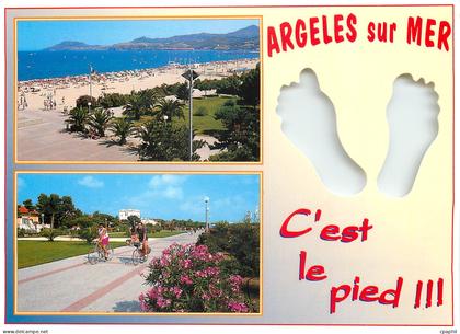 CPM Argeles sur Mer Pyrenees Orientales