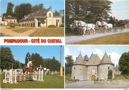CPM Pompadour Cite du Cheval Le Haras National Le Chateau