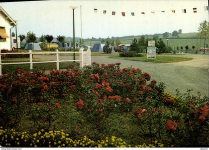 CPSM ARNAY-le-DUC camping
