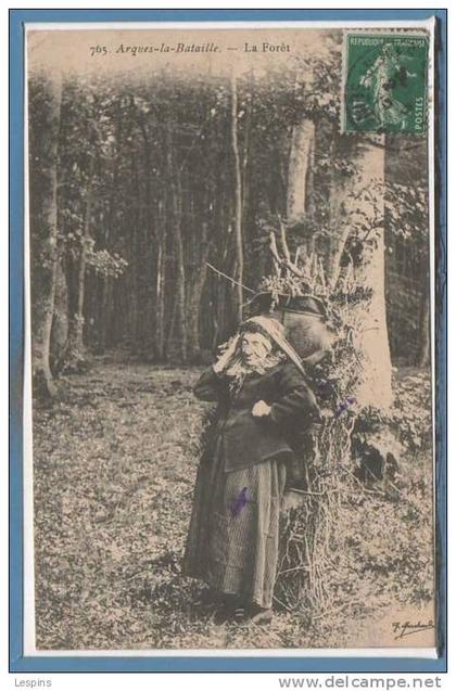 76 - ARQUES la BATAILLE -- La Forêt