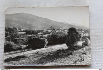 Cpm 1960, Ascain, vue générale et fenaison, Pyrénées Atlantiques 64