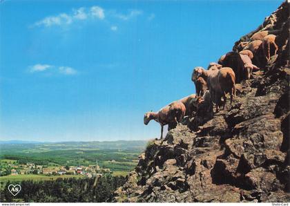 48 AUMONT AUBRAC ENVIRONS D AUMONT AUBRAC